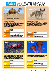 Animal Facts Guide