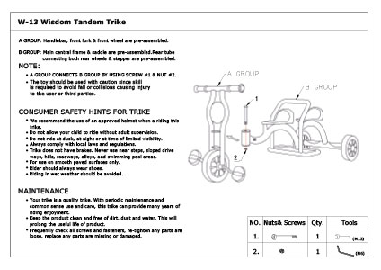 Tandem Trike