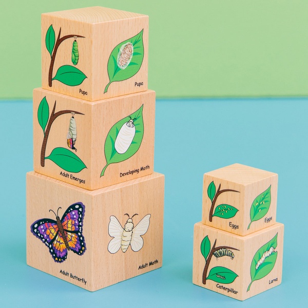 Life Cycle Wooden Blocks